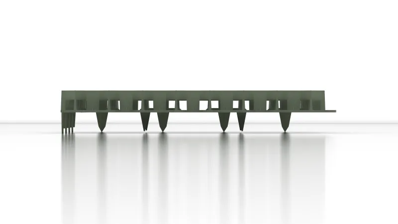 Dornen oder Erdnägel