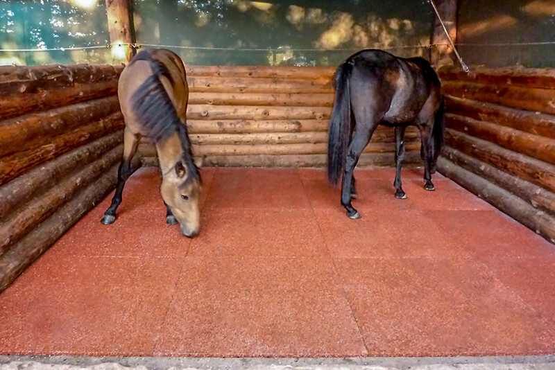 Der Offenstall oder die Weidehütte ist für die Pferde nur ein Wetterschutz; das Gebäude ist immer offen, die Pferde können ganz nach Belieben rein- und rausgehen. Daher wird der komplette Offenstall oder die komplette Weidehütte mit Stallmatten von WARCO ausgelegt.