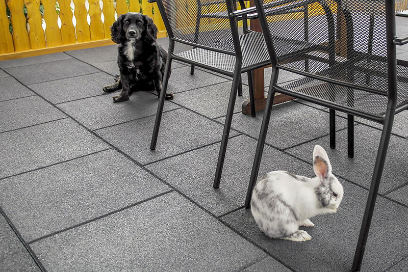 Ein Kaninchen und ein Hund genießen in friedlicher Eintracht die Zeit auf einer Terrasse, die mit einem elastischen und Wärme isolierenden Bodenbelag von WARCO ausgelegt ist.